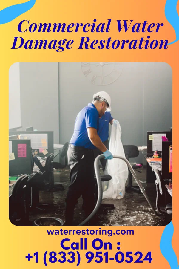 Commercial Water Damage Restoration in Chesnut Hill, PA