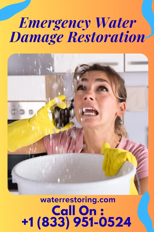 Emergency Water Damage Restoration in Chesnut Hill, PA