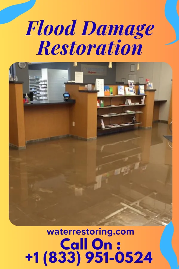 Flood Damage Restoration in Chesnut Hill, PA
