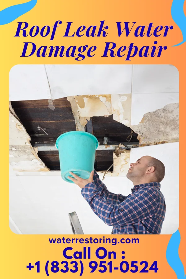 Roof Leak Water Damage Repair in Chesnut Hill, PA