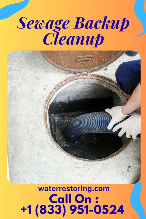 Sewage Backup Cleanup in Chesnut Hill, PA
