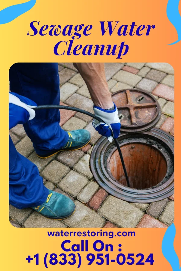 Sewage Water Cleanup in Chesnut Hill, PA