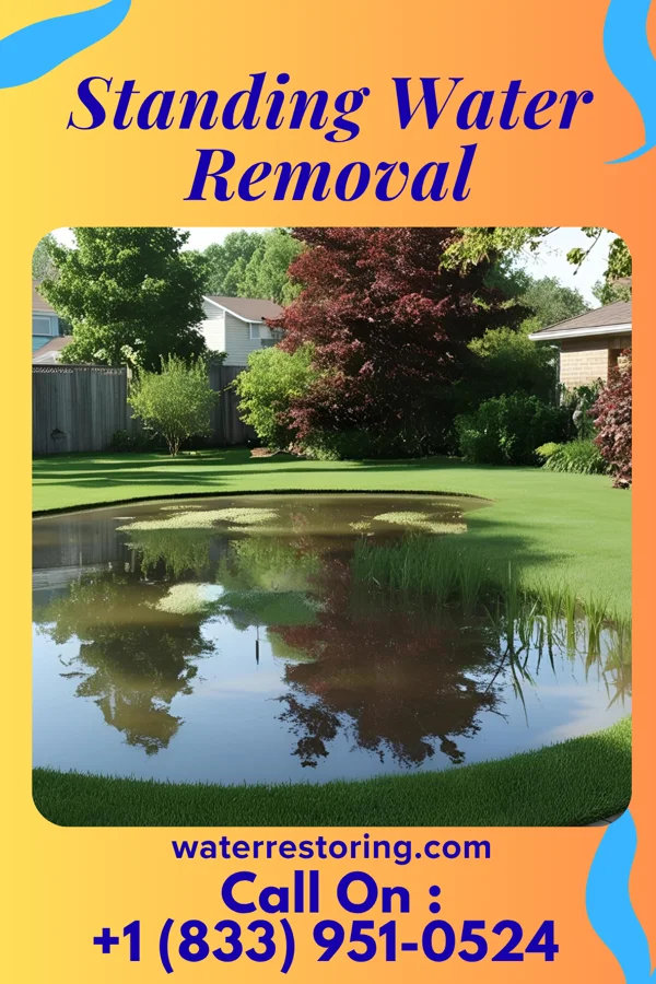 Standing Water Removal in Chesnut Hill, PA